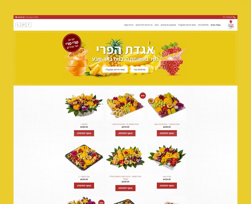 הקמת חנות וירטואלית לאגדת הפרי